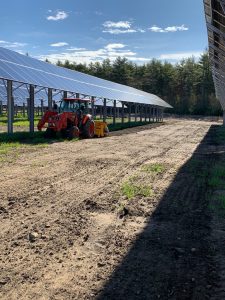 Plant cover crops under solar panels